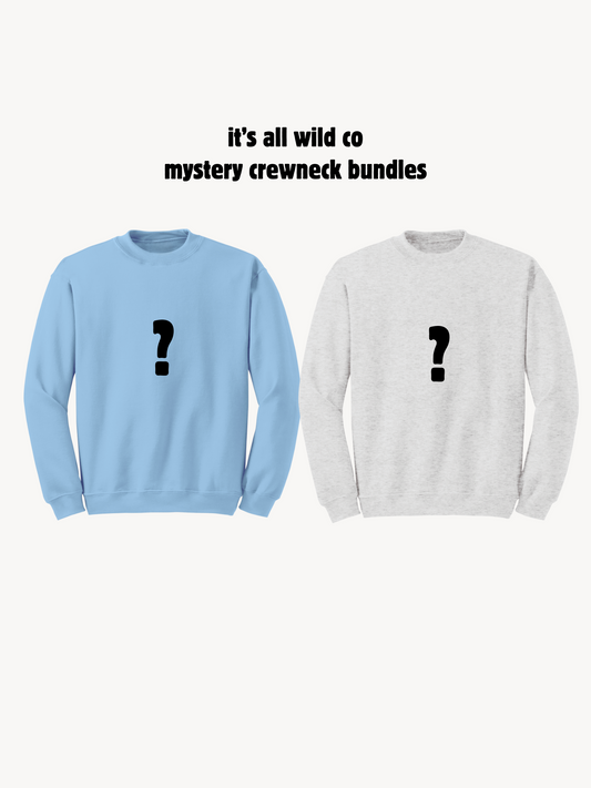 MYSTERY BUNDLE: 2 CREWNECK SET