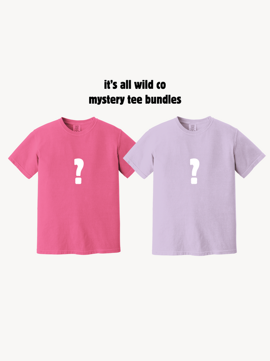 MYSTERY BUNDLE: 2 TEE SET