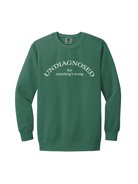 UNDIAGNOSED BUT SOMETHINGS WRONG (COMFORT COLORS)