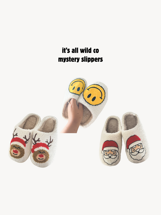 MYSTERY BUNDLE: SLIPPERS
